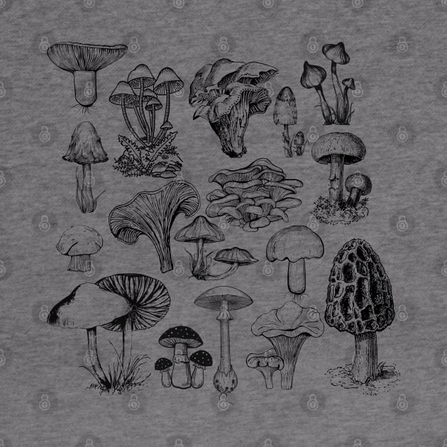 Mushroom Illustrations by LylaLace Studio